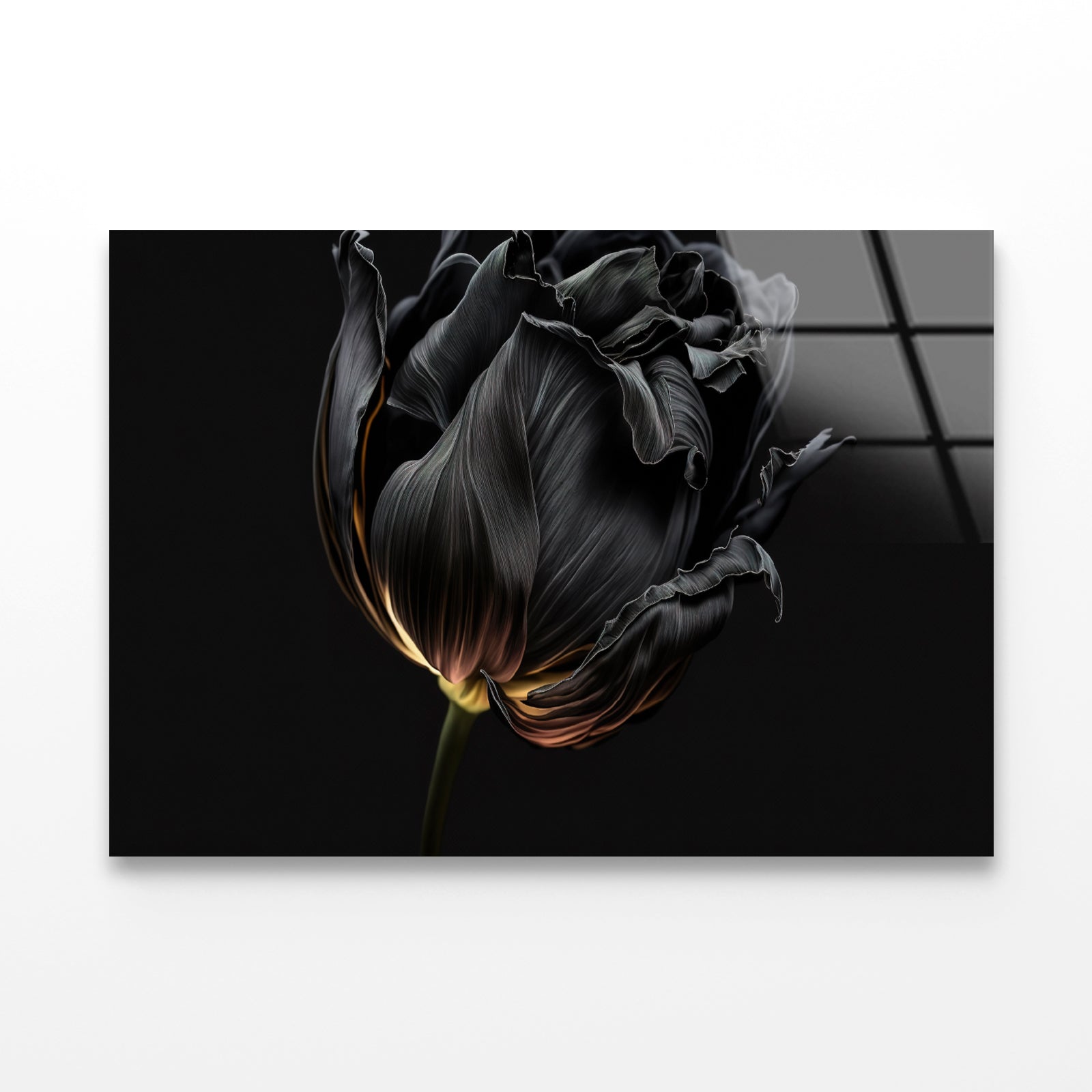 Striking Black Flower with a Vibrant Yellow Acrylic Glass Print Tempered Glass Wall Art 100% Made in Australia Ready to Hang - Bella Home Decor
