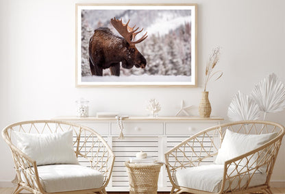 Bull Moose in Snow Home Decor Premium Quality Poster Print Choose Your Sizes