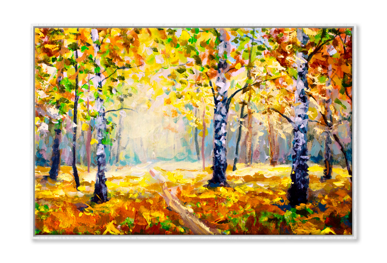 White Birch Trees In Autumn Forest Oil Painting Wall Art Limited Edition High Quality Print Canvas Box Framed White