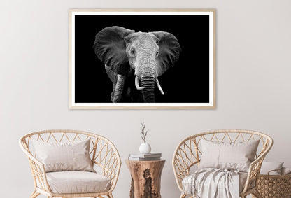 Black And White Photo of An Elephant Home Decor Premium Quality Poster Print Choose Your Sizes