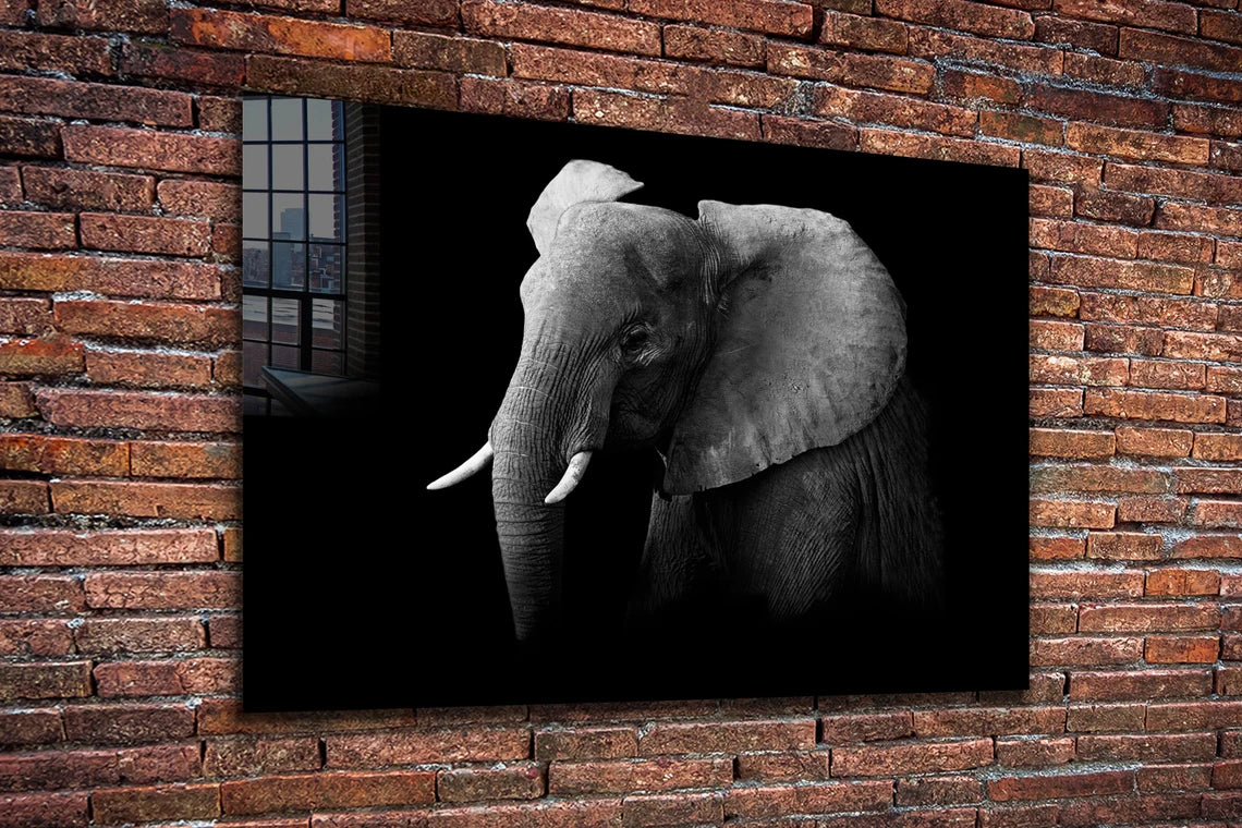 Elephant on Dark B&W UV Direct Aluminum Print Australian Made Quality