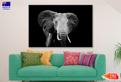 Black and White Photo of an Elephant Wall Art Decor 100% Australian Made