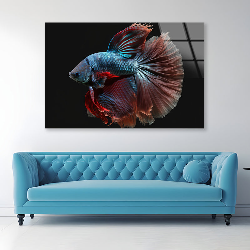 Colorful Fish Swimming In the Water Acrylic Glass Print Tempered Glass Wall Art 100% Made in Australia Ready to Hang - Bella Home Decor