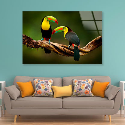 Toucan Sitting on The Branch in The Forest Acrylic Glass Print Tempered Glass Wall Art 100% Made in Australia Ready to Hang