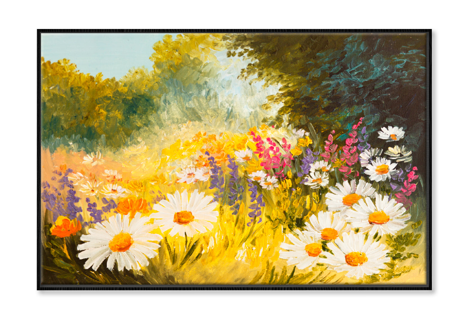 Field Of Daisies Oil Painting Limited Edition High Quality Print Canvas Box Framed Black