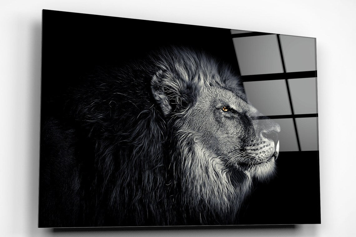 Lion Black & White Acrylic Glass Print Tempered Glass Wall Art 100% Made in Australia Ready to Hang