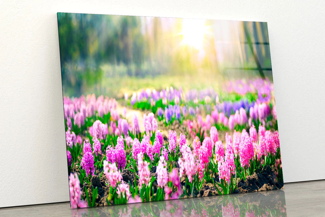 Flowering Pink & Purple Acrylic Glass Print Tempered Glass Wall Art 100% Made in Australia Ready to Hang