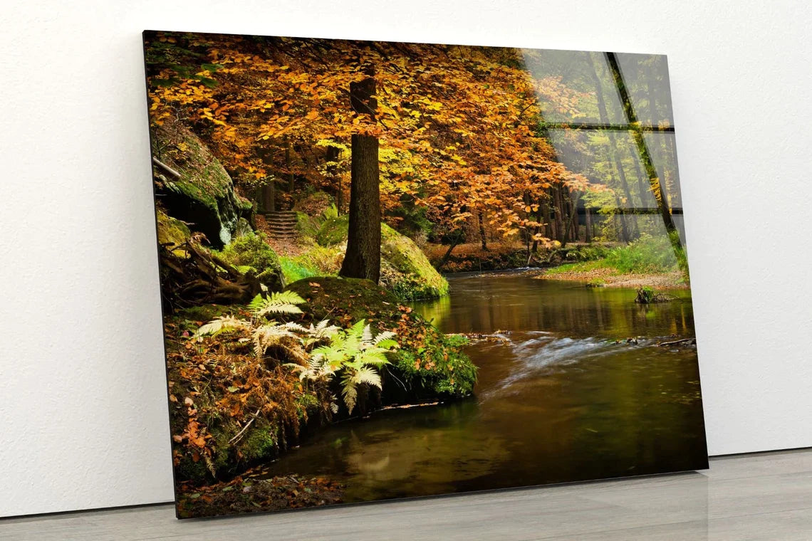 River & Forest Scenery UV Direct Aluminum Print Australian Made Quality