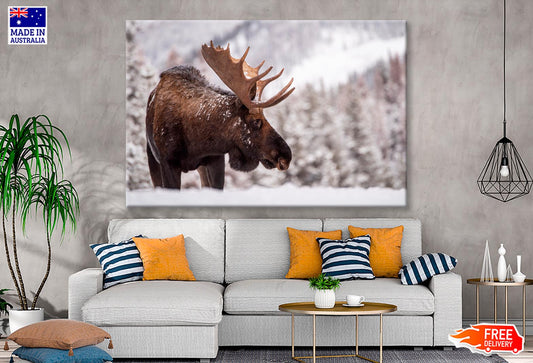 Bull Moose in Snow & Mountain Winter View Wall Art Decor 100% Australian Made