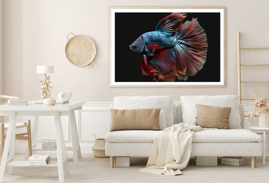 Colorful Fish Swimming In the Water Home Decor Premium Quality Poster Print Choose Your Sizes