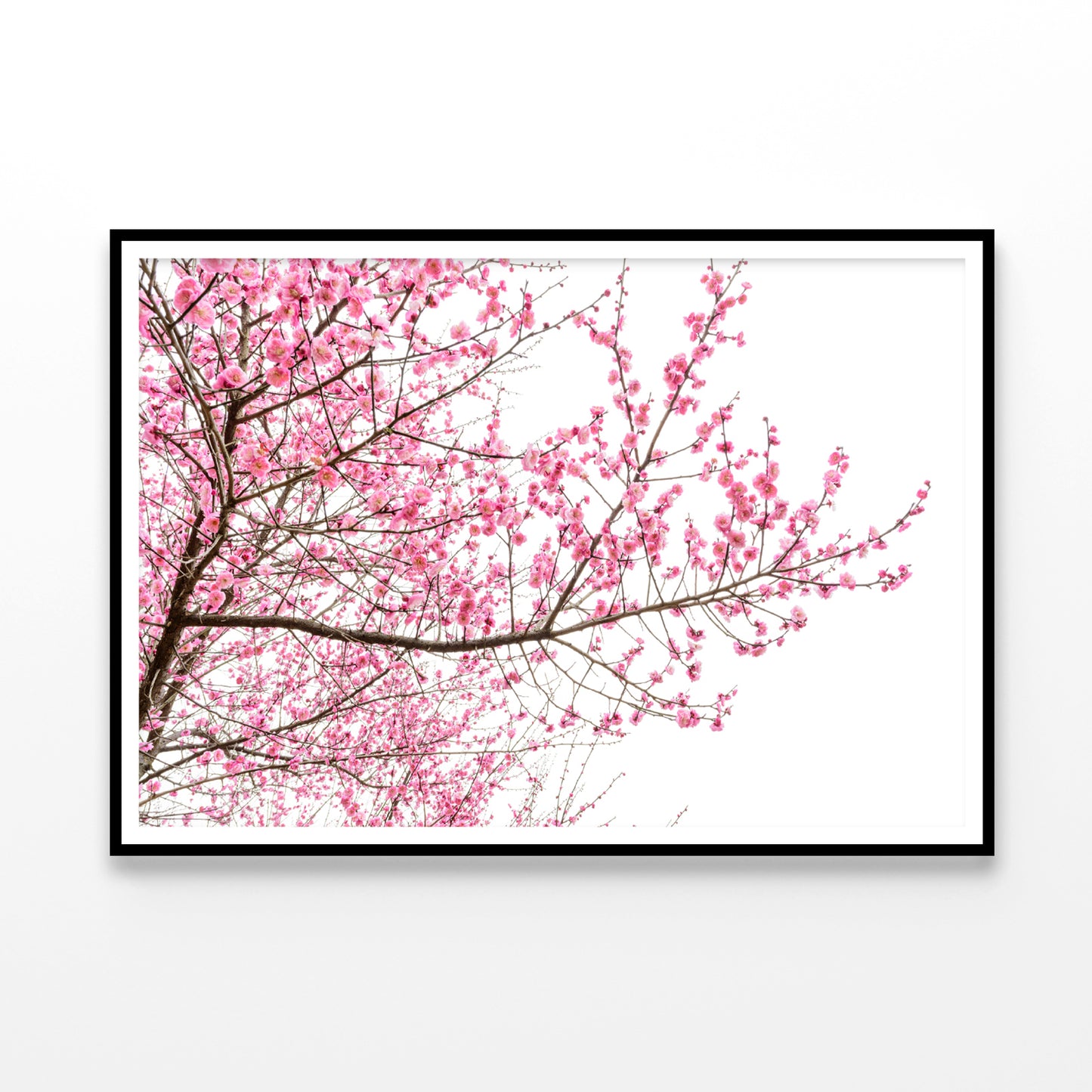 A Tree Full of Cherry Blossom Home Decor Premium Quality Poster Print Choose Your Sizes