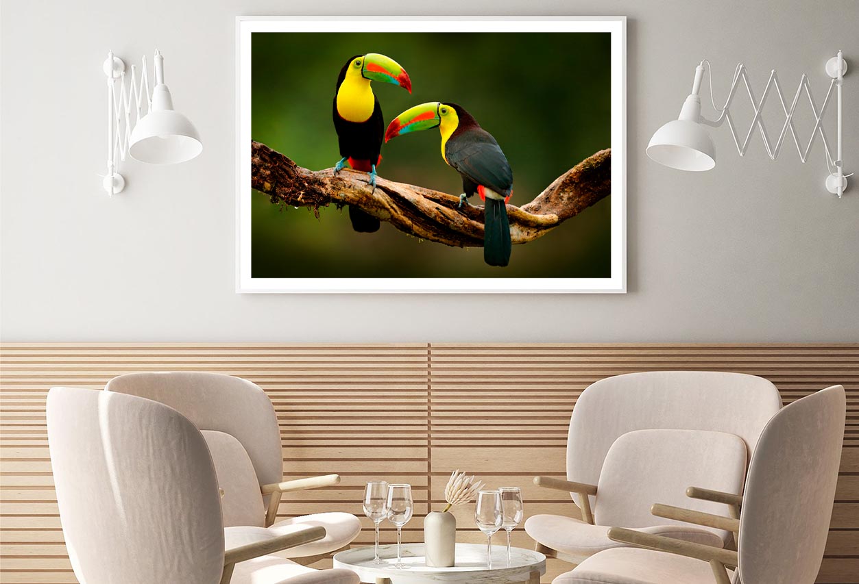 Toucan Sitting on The Branch in The Forest Home Decor Premium Quality Poster Print Choose Your Sizes