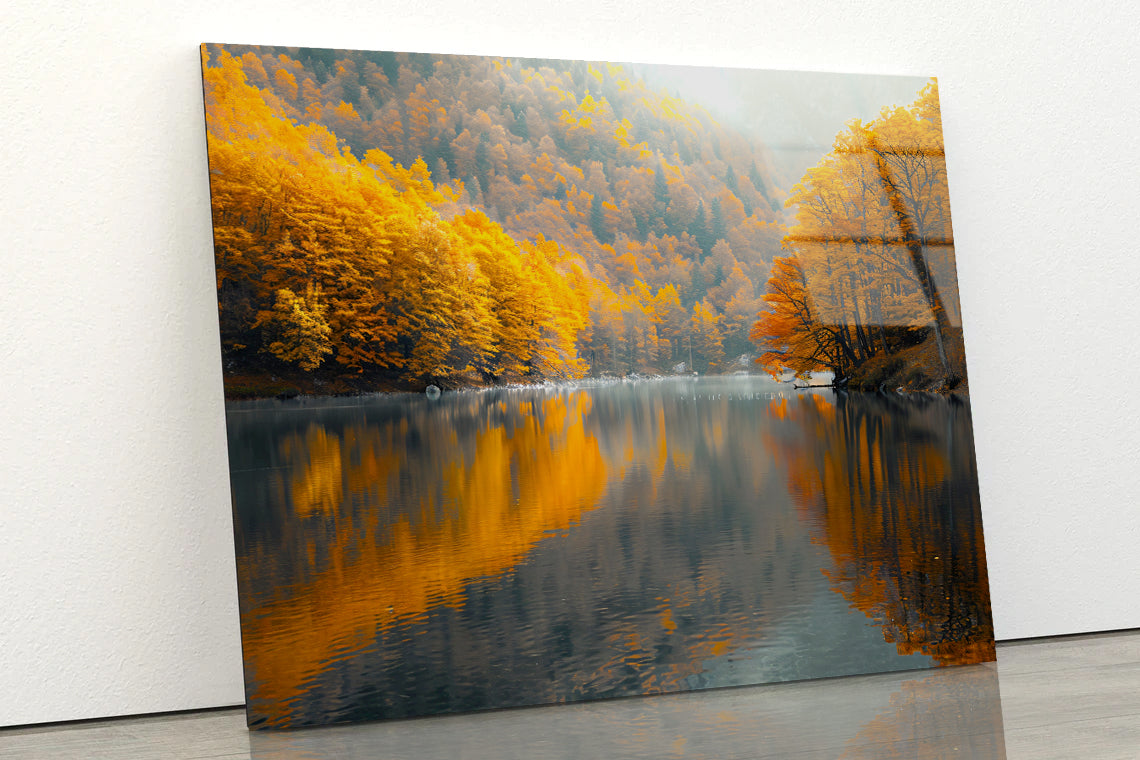 Serene Body of Water Surrounded by Trees in autumn Acrylic Glass Print Tempered Glass Wall Art 100% Made in Australia Ready to Hang