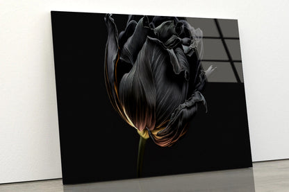 Striking Black Flower with a Vibrant Yellow Acrylic Glass Print Tempered Glass Wall Art 100% Made in Australia Ready to Hang - Bella Home Decor