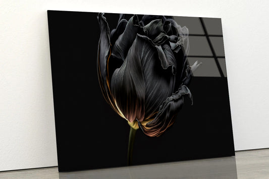 Striking Black Flower with a Vibrant Yellow Acrylic Glass Print Tempered Glass Wall Art 100% Made in Australia Ready to Hang - Bella Home Decor