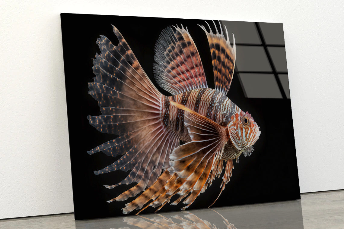 Close up Red Lionfish Acrylic Glass Print Tempered Glass Wall Art 100% Made in Australia Ready to Hang - Bella Home Decor