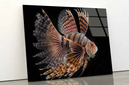 Close up Red Lionfish Acrylic Glass Print Tempered Glass Wall Art 100% Made in Australia Ready to Hang - Bella Home Decor