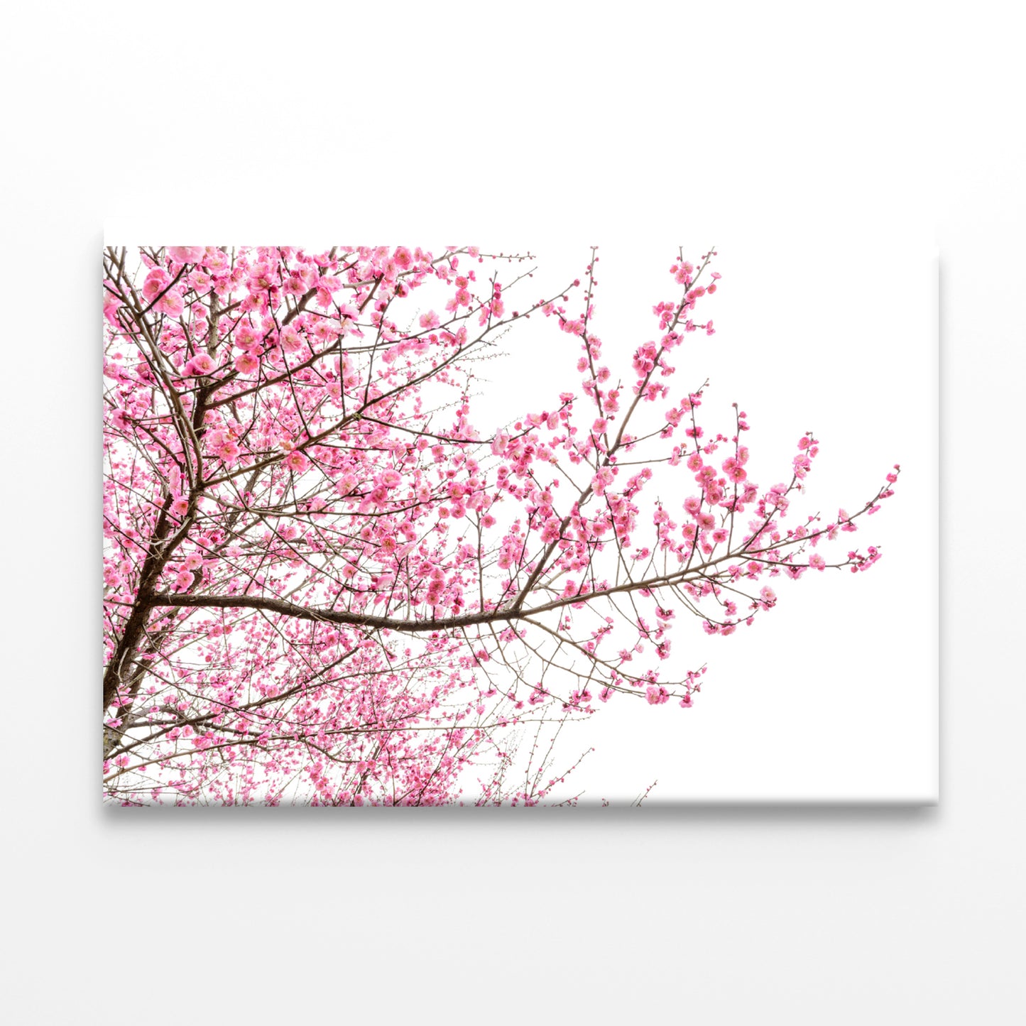 A Tree Full of Cherry Blossom Print 100% Australian Made - Bella Home Decor
