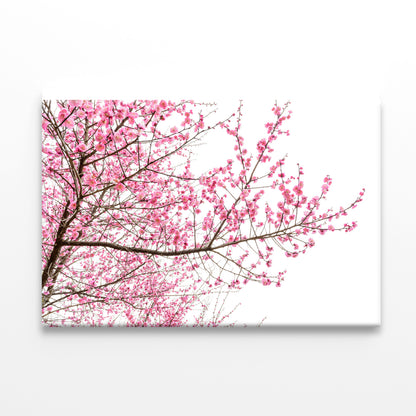 A Tree Full of Cherry Blossom Print 100% Australian Made - Bella Home Decor
