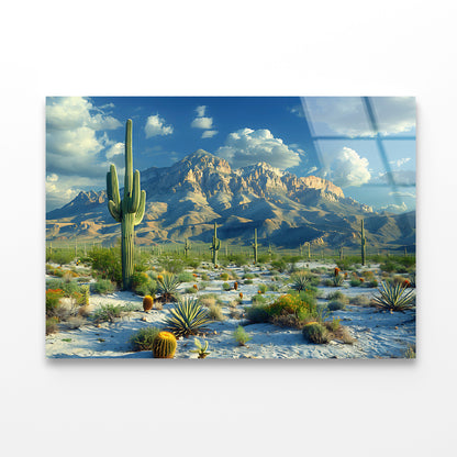 Cactus in the Desert Acrylic Glass Print Tempered Glass Wall Art 100% Made in Australia Ready to Hang - Bella Home Decor