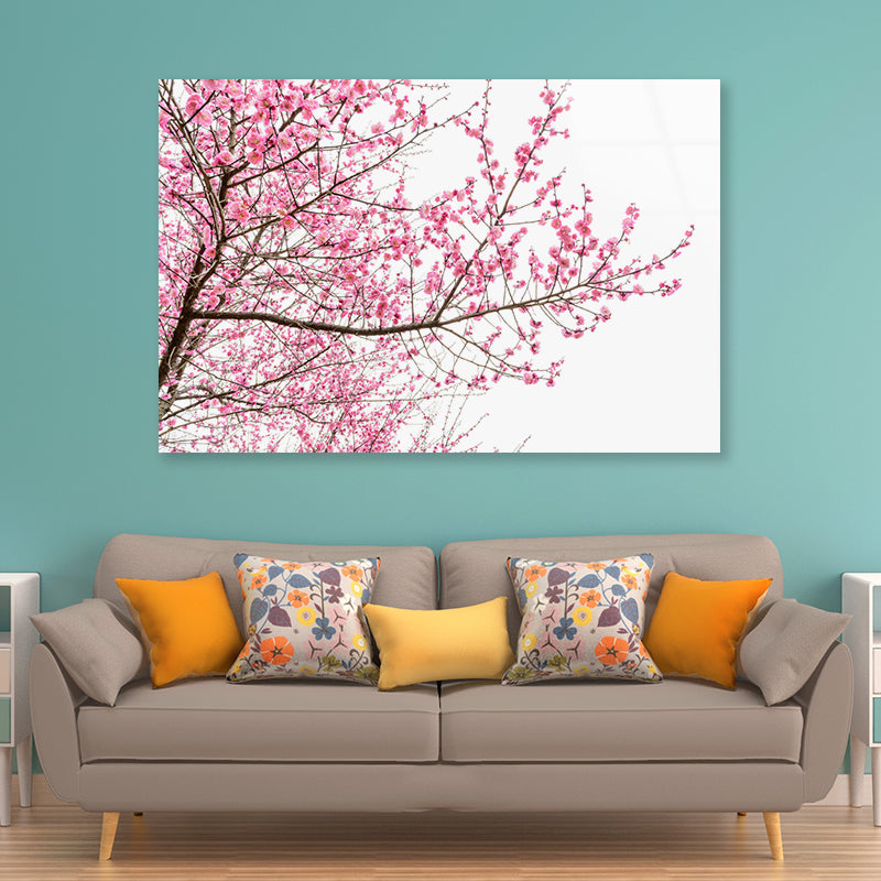 A Tree Full of Cherry Blossom Acrylic Glass Print Tempered Glass Wall Art 100% Made in Australia Ready to Hang - Bella Home Decor