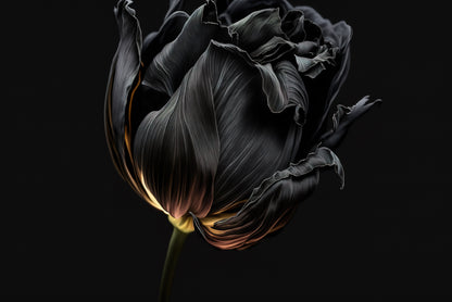 Striking Black Flower with a Vibrant Yellow Print 100% Australian Made - Bella Home Decor