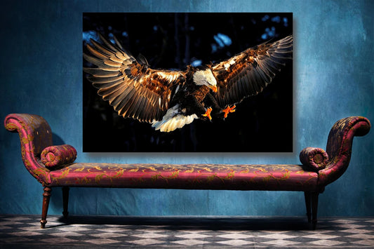 Eagle In Flight Wall Art UV Direct Aluminum Print Australian Made Quality