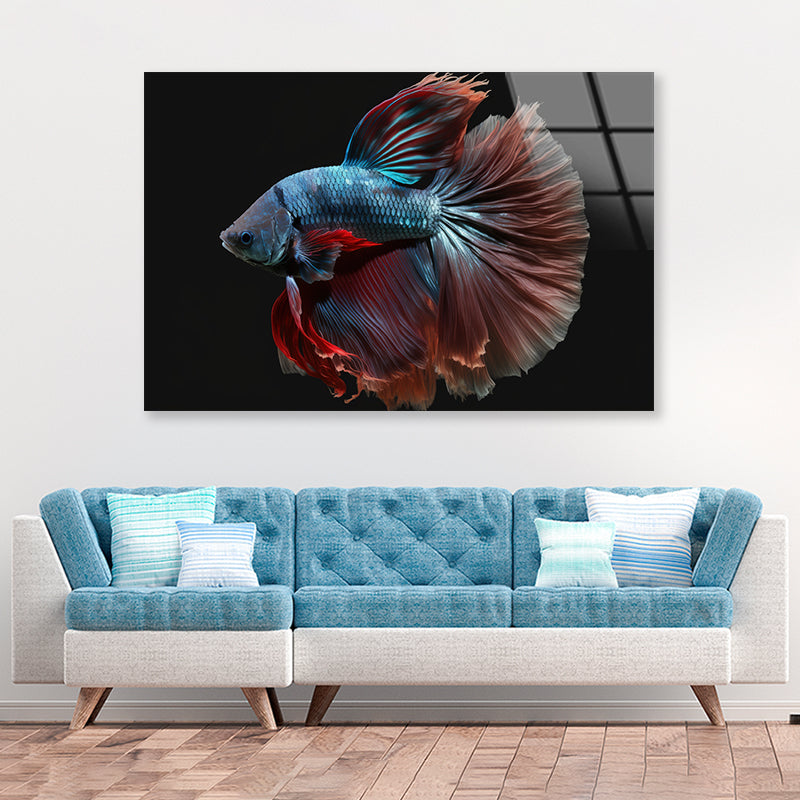Colorful Fish Swimming In the Water Acrylic Glass Print Tempered Glass Wall Art 100% Made in Australia Ready to Hang - Bella Home Decor