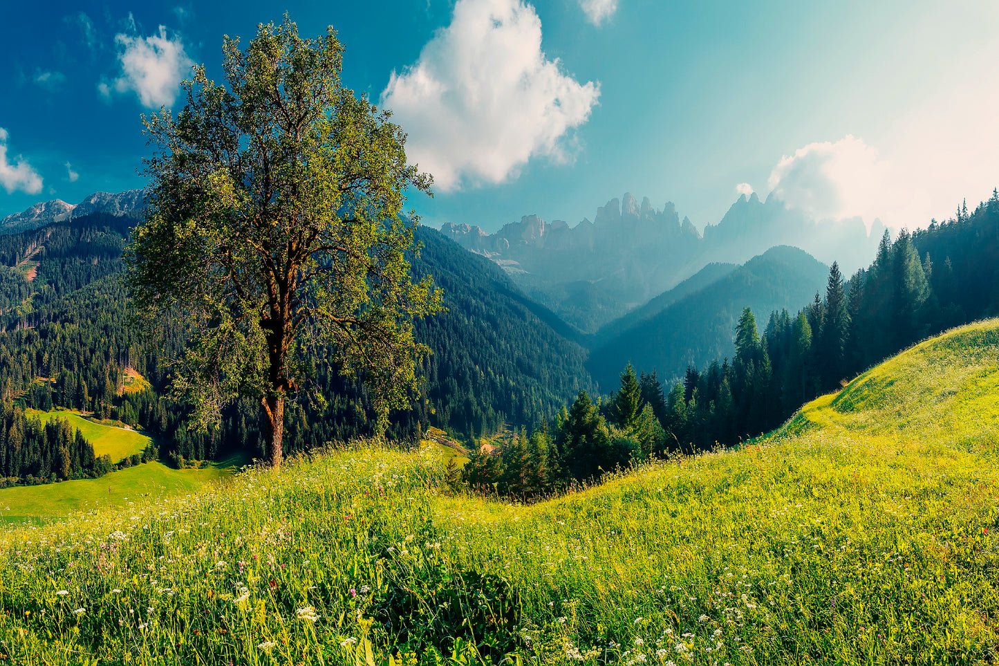 The Alps with Fresh Green Meadows with Mountains Home Decor Premium Quality Poster Print Choose Your Sizes