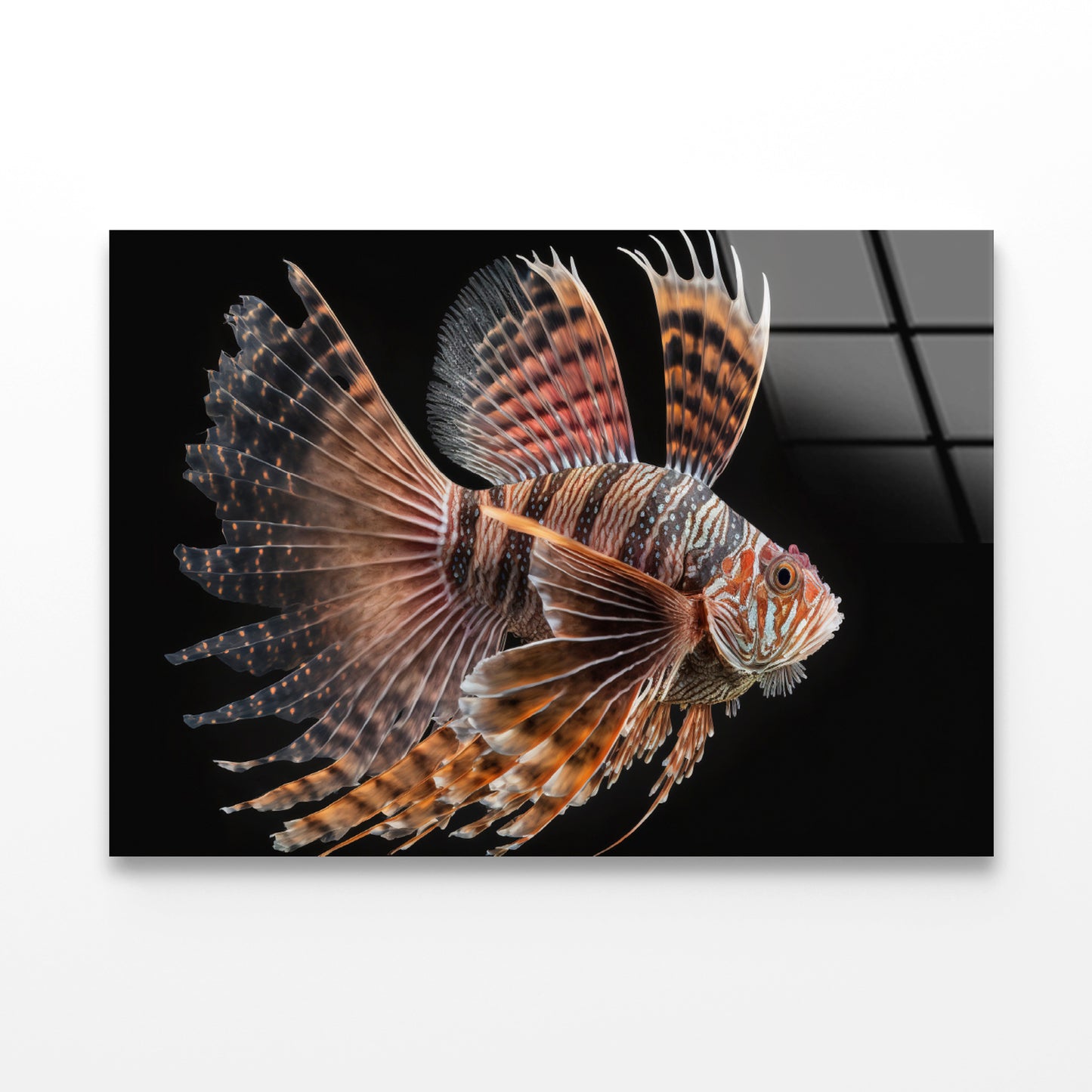 Close up Red Lionfish Acrylic Glass Print Tempered Glass Wall Art 100% Made in Australia Ready to Hang - Bella Home Decor