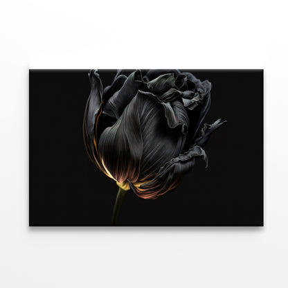 Striking Black Flower with a Vibrant Yellow Print 100% Australian Made - Bella Home Decor