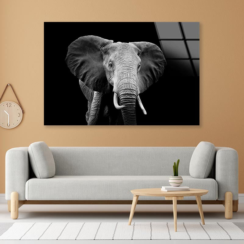 Black And White Photo of An Elephant Acrylic Glass Print Tempered Glass Wall Art 100% Made in Australia Ready to Hang