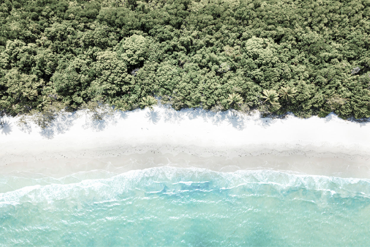 Forest near Beach Aerial View Photograph Glass Framed Wall Art, Ready to Hang Quality Print