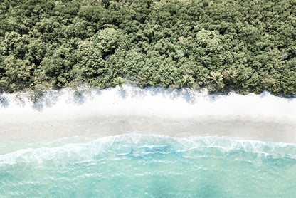 Forest near Beach Aerial View Photograph Glass Framed Wall Art, Ready to Hang Quality Print