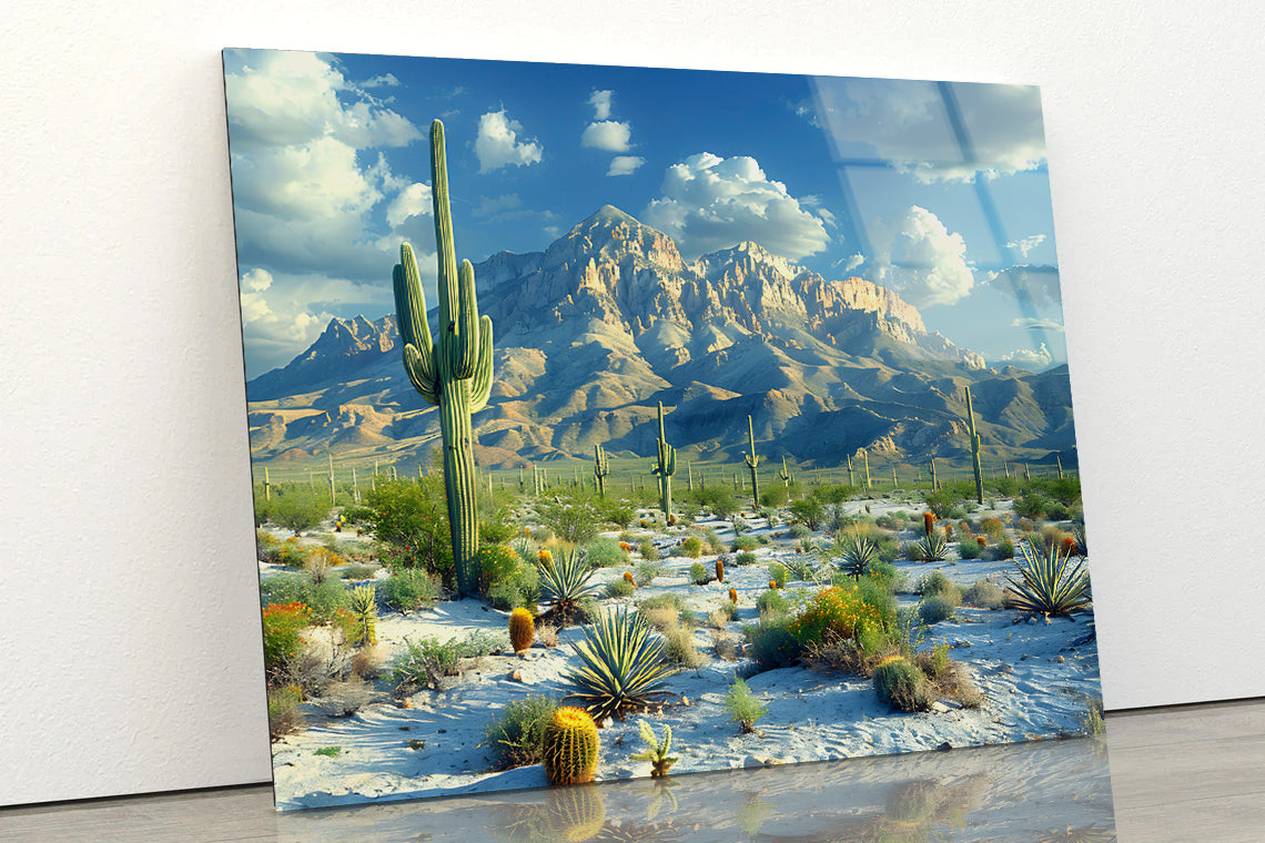 Cactus in the Desert Acrylic Glass Print Tempered Glass Wall Art 100% Made in Australia Ready to Hang - Bella Home Decor