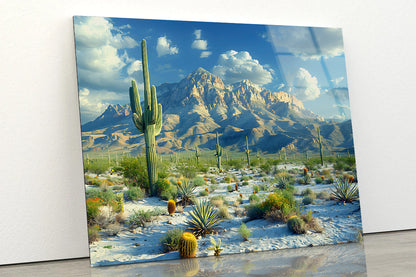 Cactus in the Desert Acrylic Glass Print Tempered Glass Wall Art 100% Made in Australia Ready to Hang - Bella Home Decor