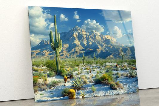 Cactus in the Desert Acrylic Glass Print Tempered Glass Wall Art 100% Made in Australia Ready to Hang - Bella Home Decor