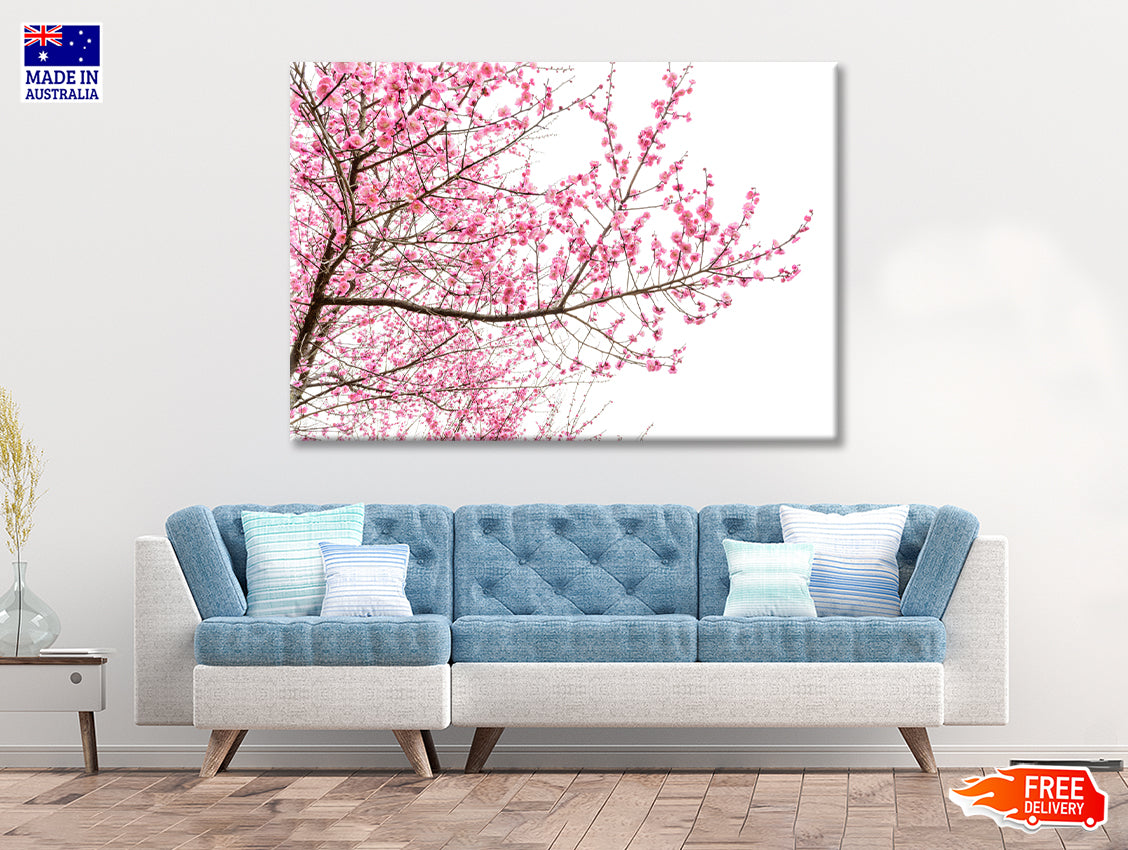 A Tree Full of Cherry Blossom Print 100% Australian Made - Bella Home Decor