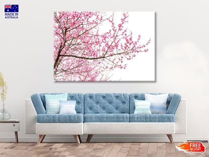 A Tree Full of Cherry Blossom Print 100% Australian Made - Bella Home Decor