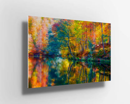 Multicolored forest oil painting UV Direct Aluminum Print Australian Made Quality