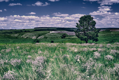 A Field Of Flowers with a Tree under a Sky Home Decor Premium Quality Poster Print Choose Your Sizes