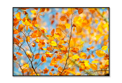 Golden Leaves on Branch Home Decor Premium Quality Poster Print Choose Your Sizes