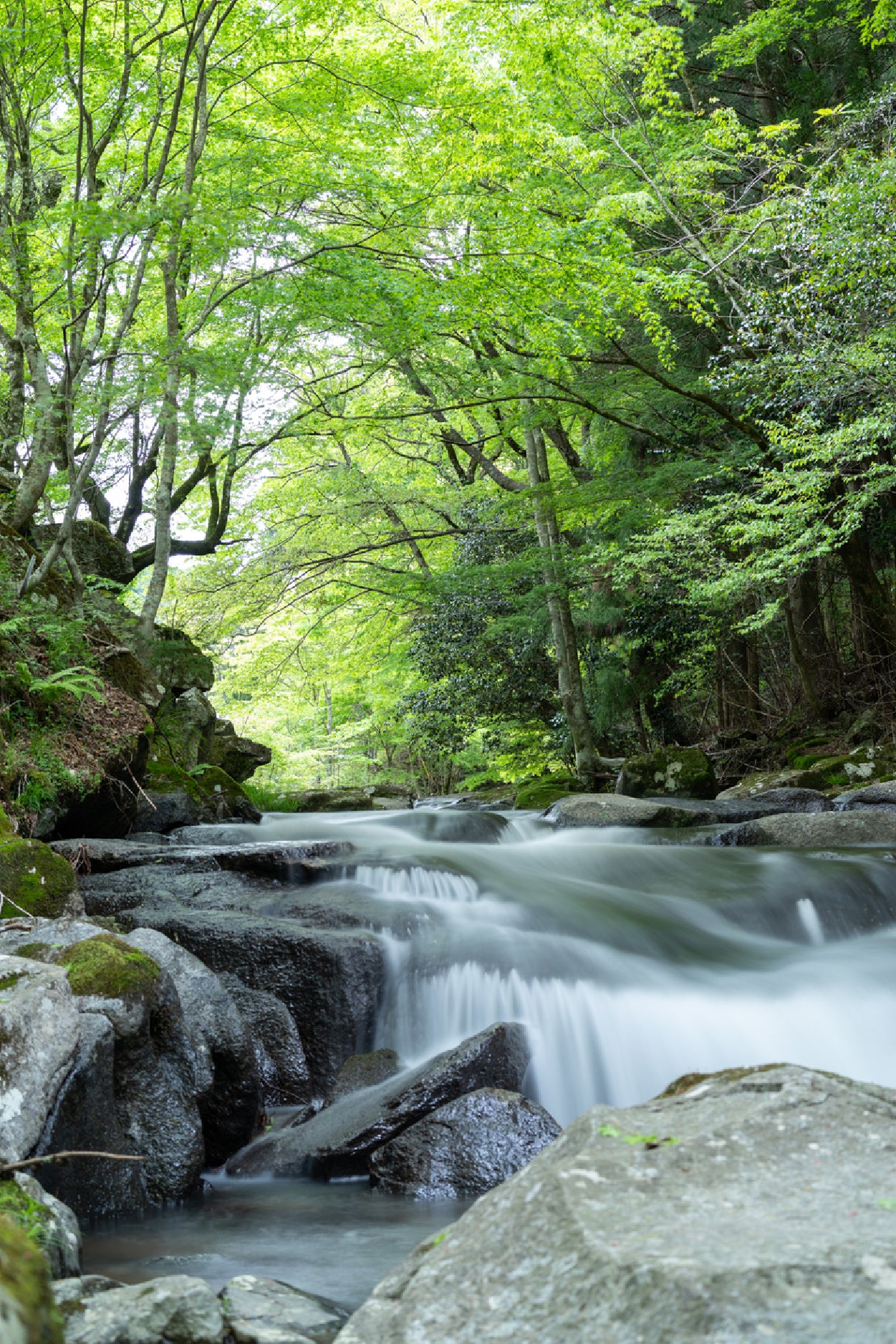 Rocky Riverside With Forest Glass Framed Wall Art, Ready to Hang Quality Print