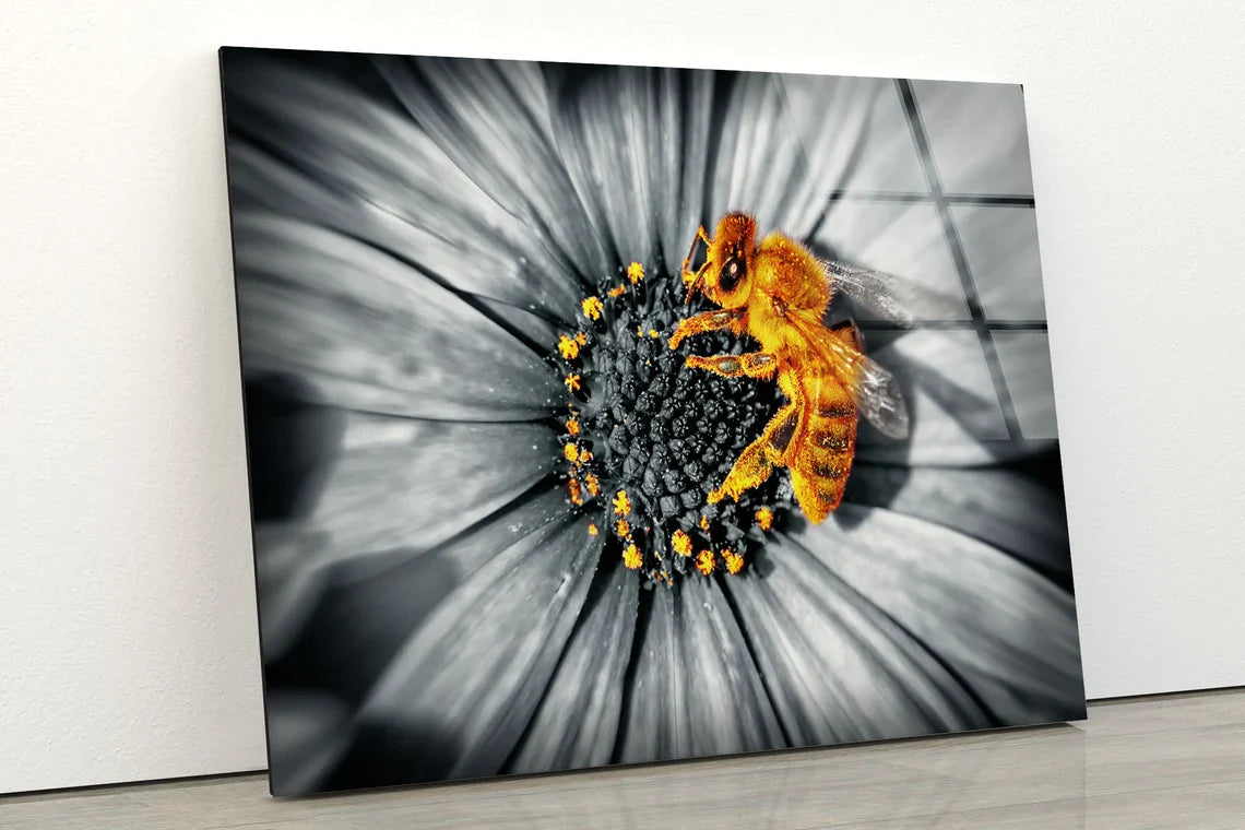 Bee on B&W Sunflower UV Direct Aluminum Print Australian Made Quality