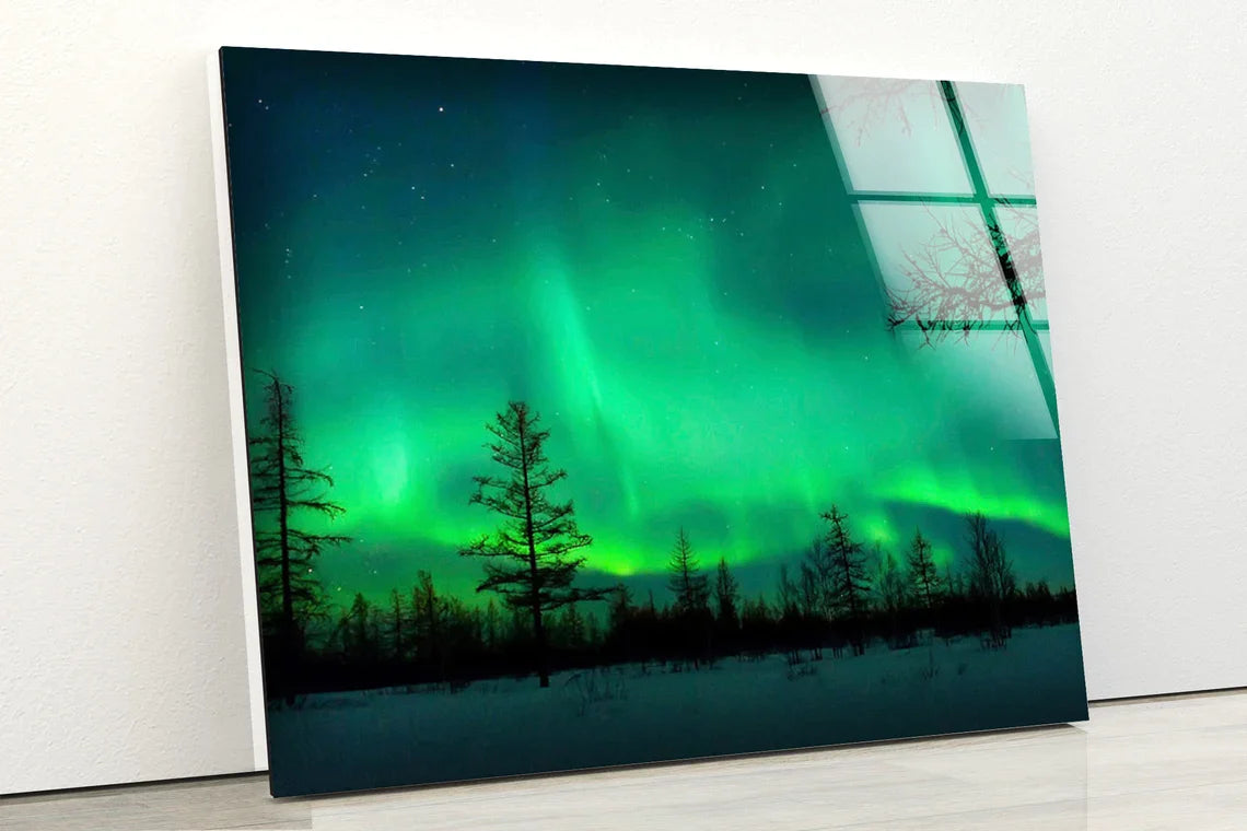 Aurora Over Forest View UV Direct Aluminum Print Australian Made Quality