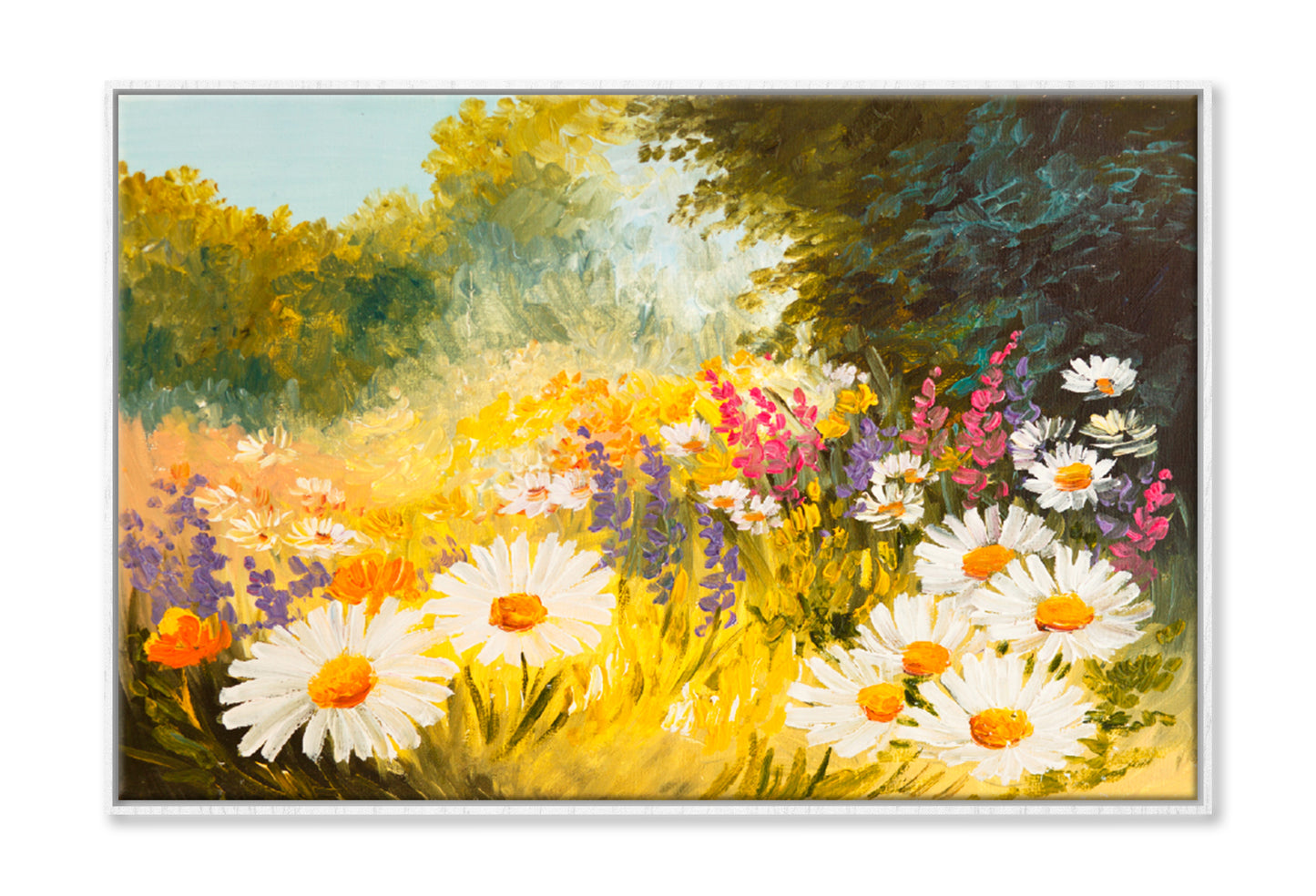 Field Of Daisies Oil Painting Limited Edition High Quality Print Canvas Box Framed White