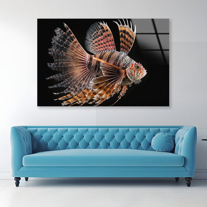 Close up Red Lionfish Acrylic Glass Print Tempered Glass Wall Art 100% Made in Australia Ready to Hang - Bella Home Decor