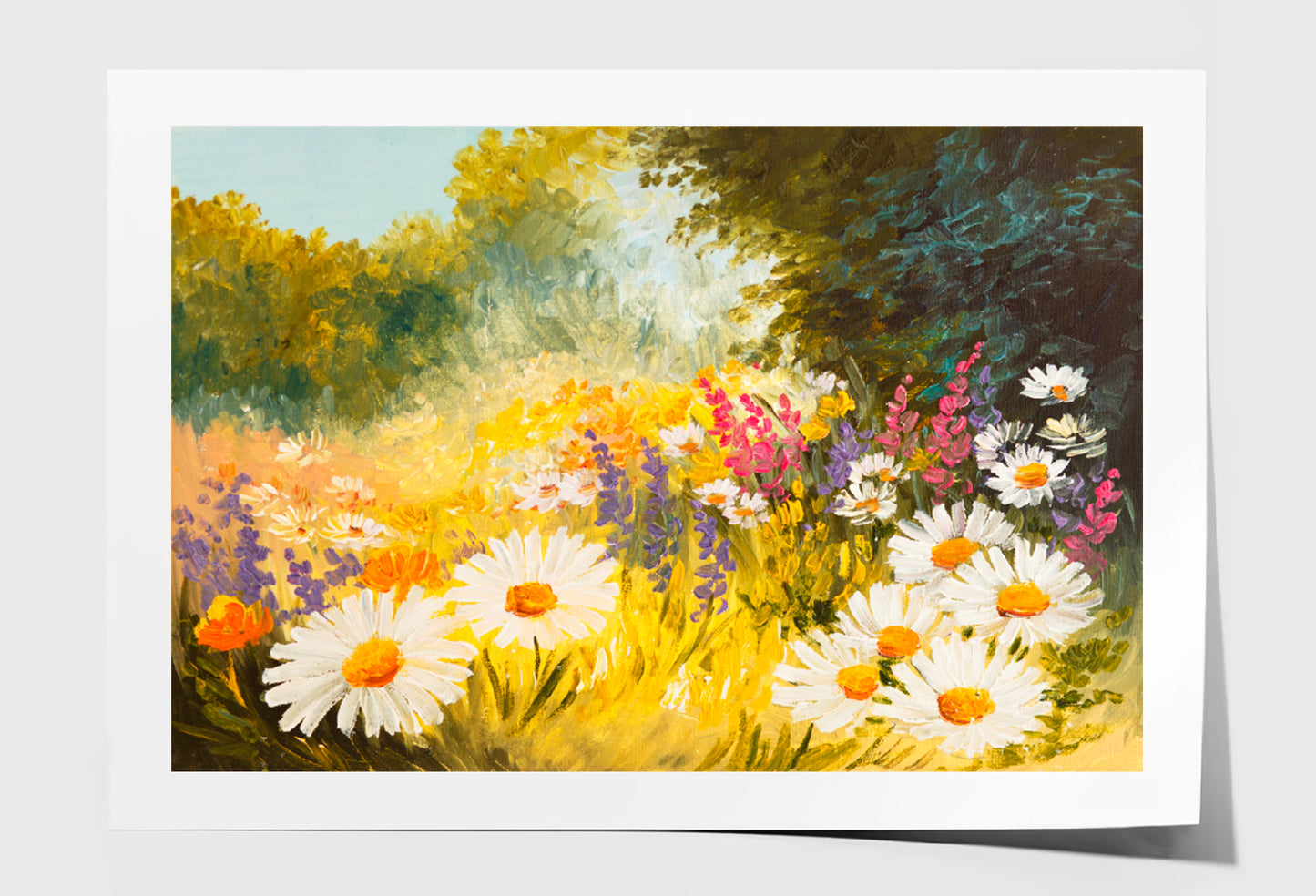 Field Of Daisies Oil Painting Limited Edition High Quality Print Unframed Roll Canvas None