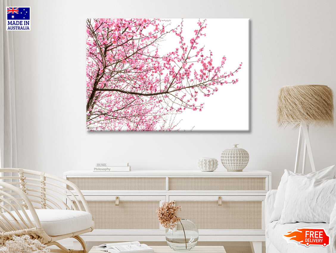 A Tree Full of Cherry Blossom Print 100% Australian Made - Bella Home Decor