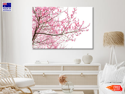 A Tree Full of Cherry Blossom Print 100% Australian Made - Bella Home Decor